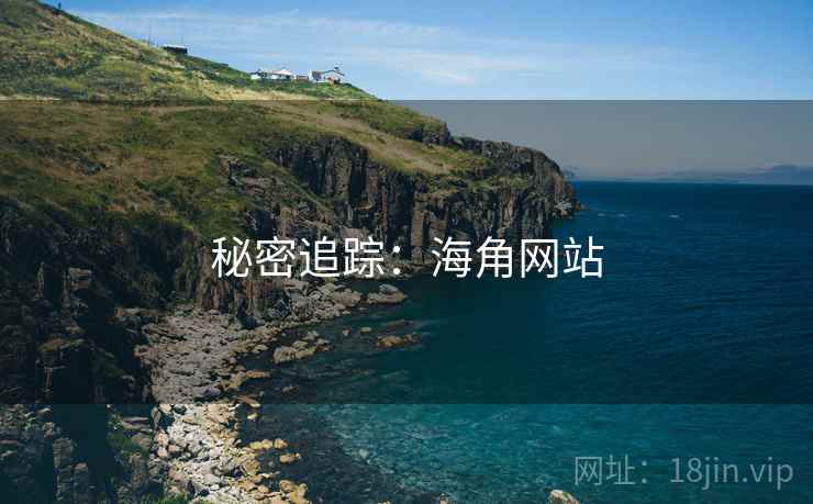 秘密追踪:海角网站