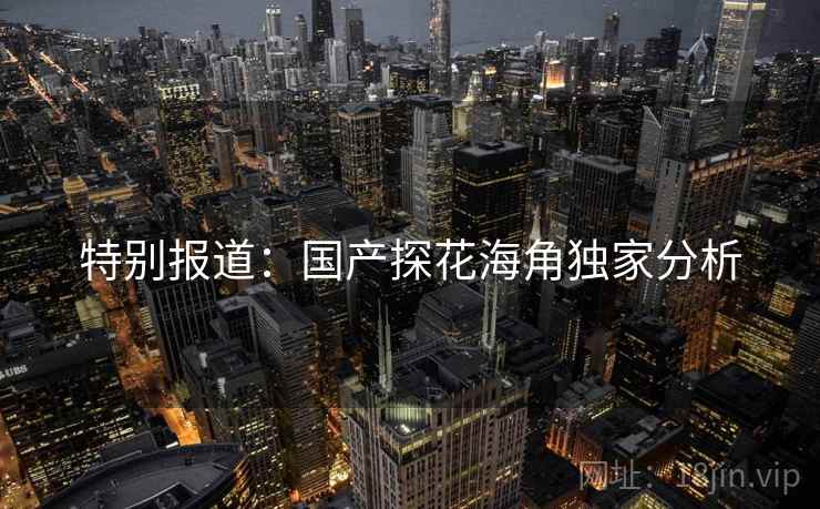 特别报道:国产探花海角独家分析
