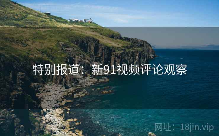 特别报道:新91视频评论观察