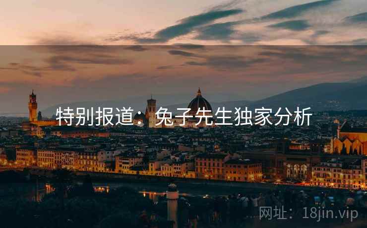 特别报道：兔子先生独家分析