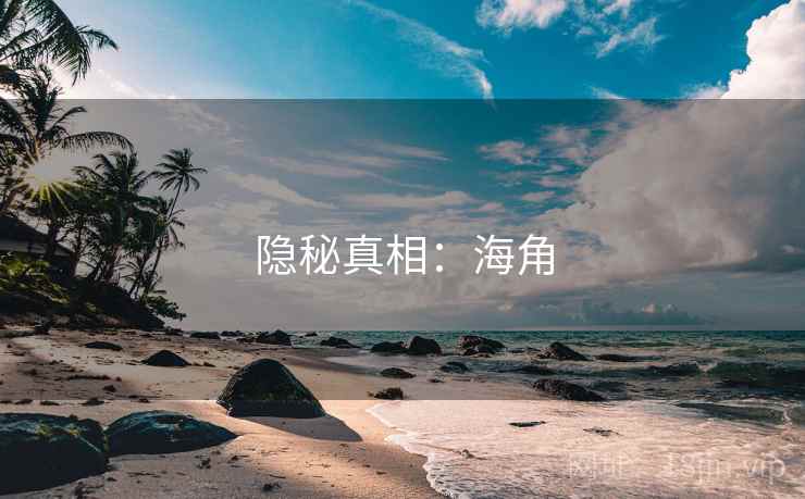 隐秘真相:海角