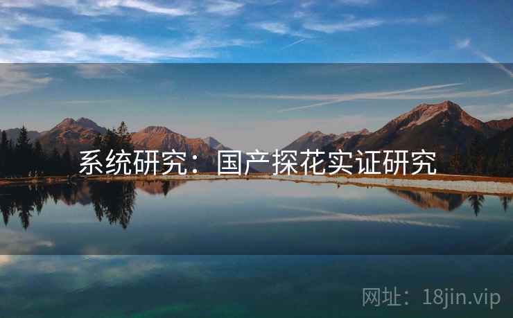 系统研究:国产探花实证研究