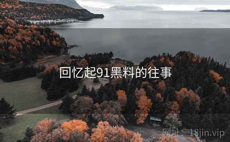 回忆起91黑料的往事