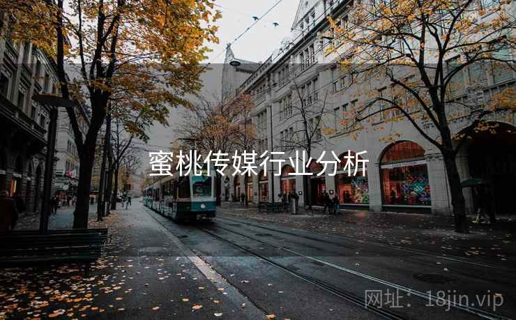 蜜桃传媒行业分析