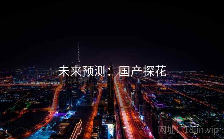 未来预测:国产探花