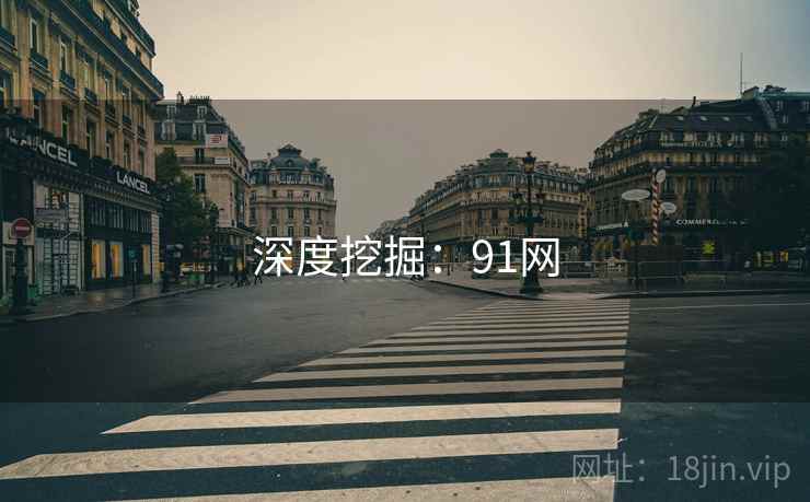 深度挖掘：91网