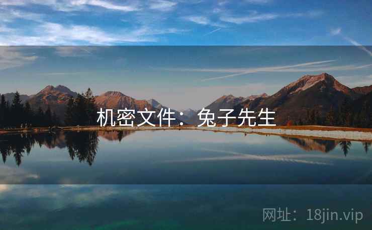 机密文件：兔子先生