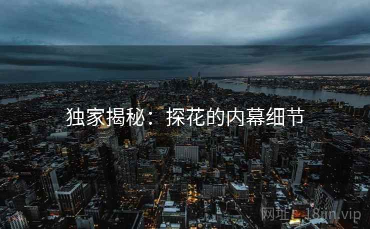独家揭秘:探花的内幕细节 独家揭秘:探花的内幕细节