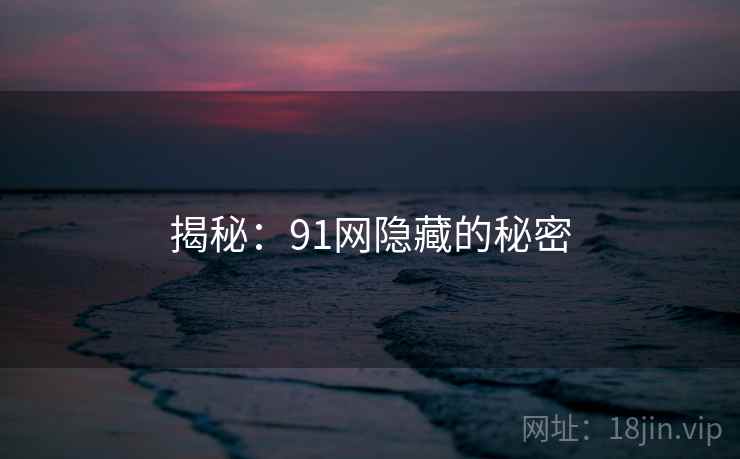 揭秘:91网隐藏的秘密