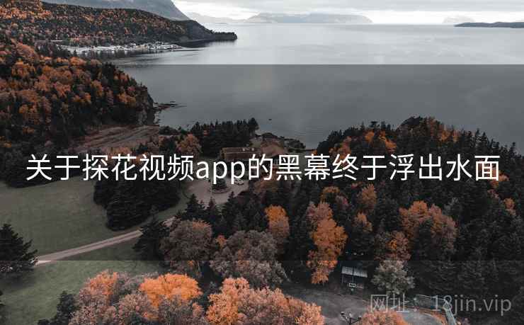 关于探花视频app的黑幕终于浮出水面 关于探花视频app的黑幕终于浮出水面