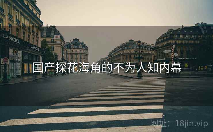 国产探花海角的不为人知内幕