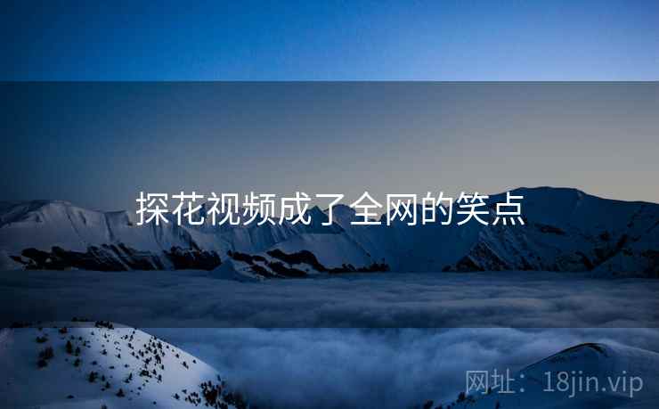 探花视频成了全网的笑点
