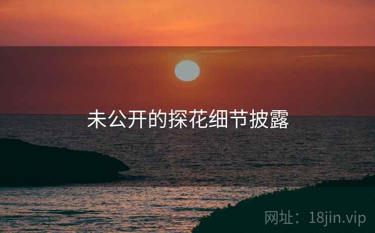 未公开的探花细节披露 未公开的探花细节披露