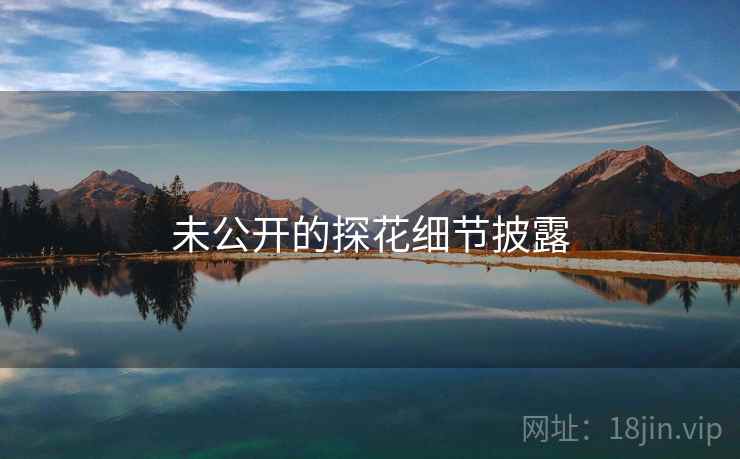 未公开的探花细节披露