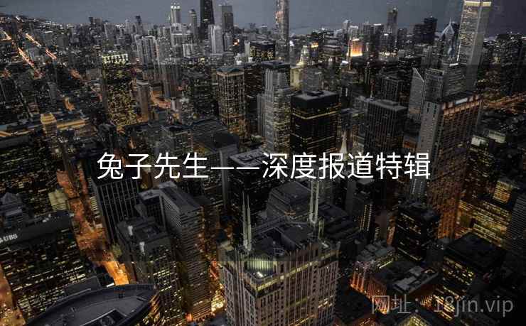 兔子先生——深度报道特辑