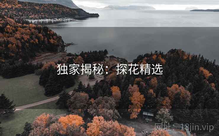 独家揭秘:探花精选 独家揭秘:探花精选