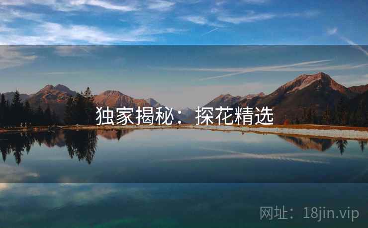 独家揭秘:探花精选