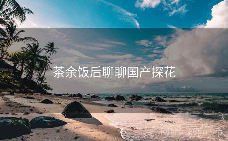 茶余饭后聊聊国产探花
