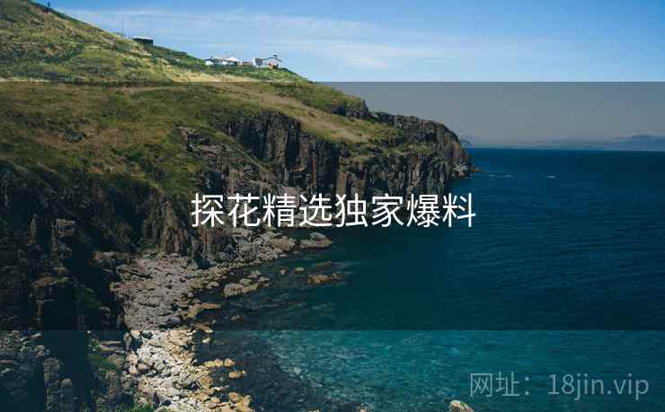 探花精选独家爆料