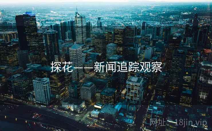 探花——新闻追踪观察